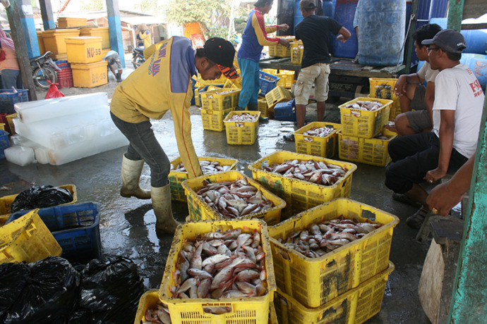 Sejumlah pegawai Tempat Pelelangan Ikan (TPI) Palang menimbang hasil tangkapan nelayan.
