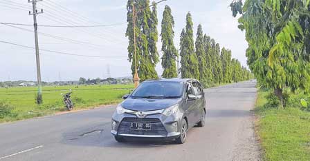 DIPERLEBAR MENJADI DUA JALUR: Pelebaran Jalan Soekarno—Hatta (Suhat) masih menunggu kepastian izin pemotongan pohon. (Zidni Ilman  Nafia/Radar Tuban)