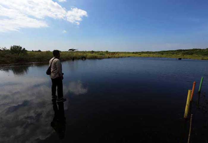 WISATA: Pantai Permata di Kelurahan Pilang.&nbsp; Belum lama ini ada kabar mangrove di lokasi ini ditebang tanpa izin. (Foto: dok Jawa Pos Radar Bromo)
