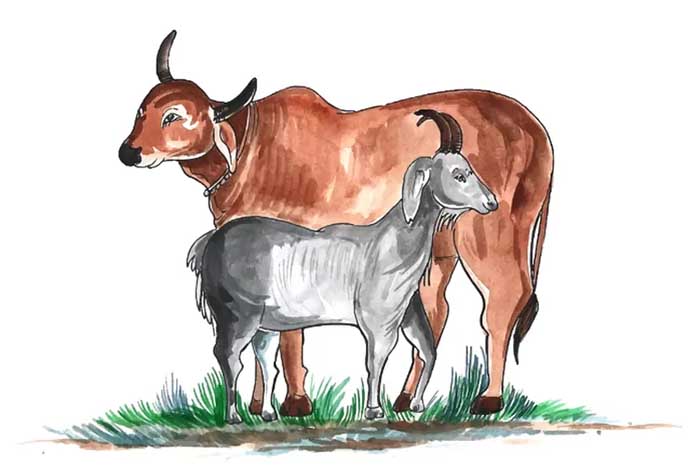 Ilustrasi