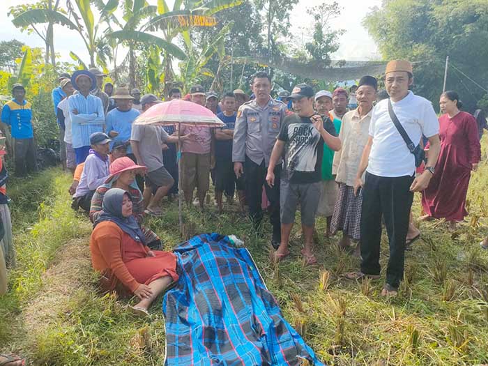 TAK BERNYAWA: Jenazah Jamil sebelum dievakuasi areal persawahan di Desa Sumber Kembar, Minggu (2/7) pagi. (Foto : Polsek Pakuniran For Jawa Pos Radar Bromo)