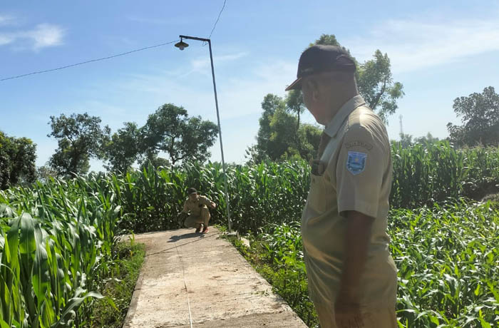 LEBIH BAIK: Sekretaris Desa Ambulu Hartono menunjukkan jalan usaha tani di Dusun Kramat yang telah dibangun. (Arif Mashudi/Jawa Pos Radar Bromo)