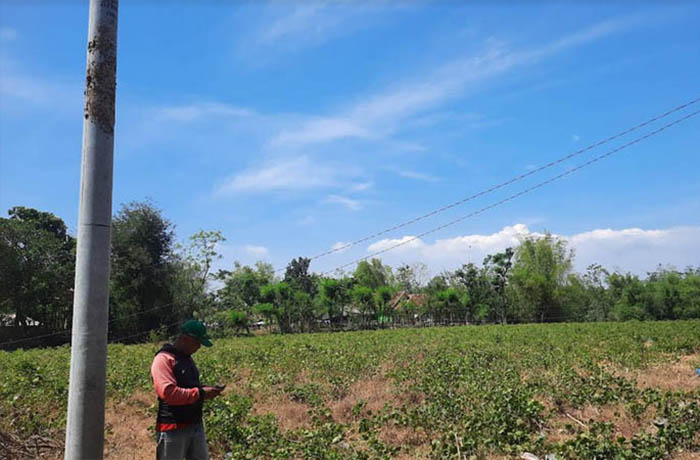 TINGGAL PASANG: Tiang yang sudah terpasang di Dusun Dawuhan, Desa Karanganyar, Kecamatan Bantaran.