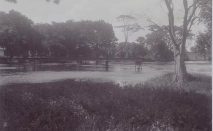 ZAMAN DULU: Suasana Ronggojalu pada tahun 1930.