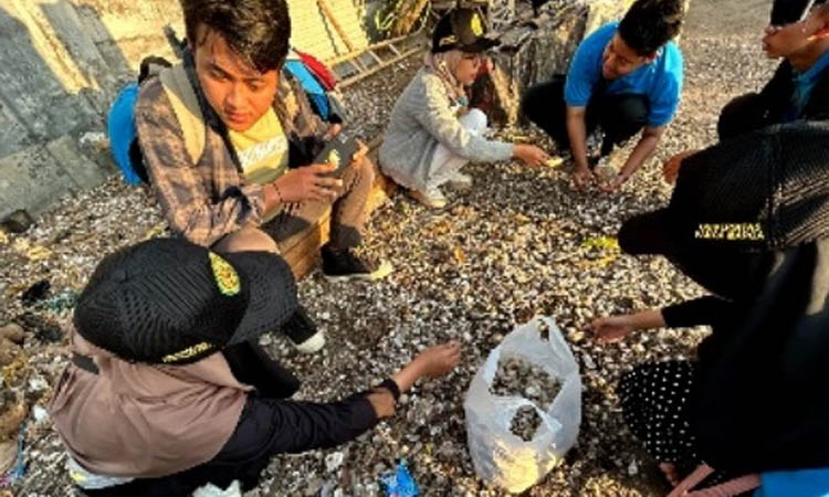 SUMBER RUPIAH: Sejumlah mahasiswa UPM saat kuliah kerja nyata di Desa Curahsawo, Kecamatan Gending, mengumpulkan kulit kerang untuk dijadikan pupuk organik.