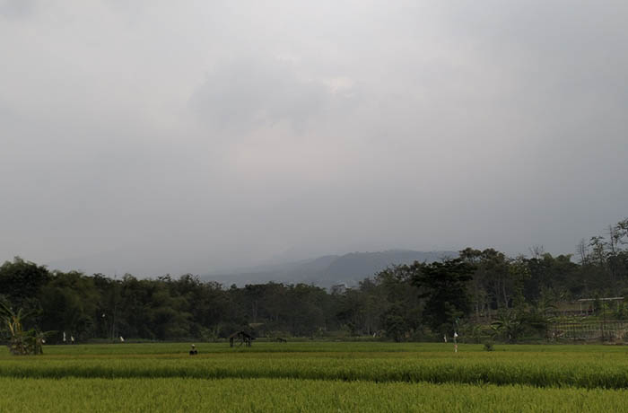 BERKABUT: Kondisi Gunung Arjuno-Welirang tertutup kabut saat difoto dari Bulukandang, Prigen, (19/9).