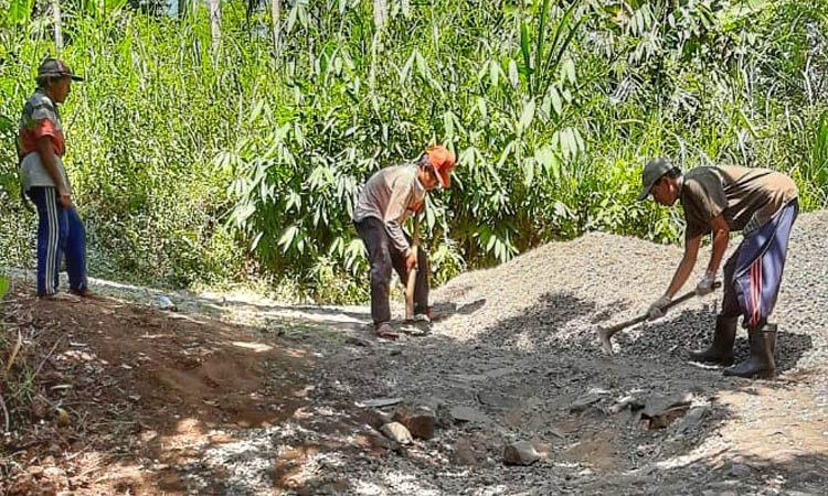 BELUM RATA: Sejumlah pekerja meratakan tanah di ruas jalan Dusun Cangkring Barat, Desa Pandanlaras, yang akan dibangun.