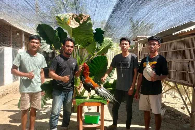 PECINTA AYAM: Benni Pratama (berkacamata) bersama sejumlah rekannya sesama pecinta ayam.
