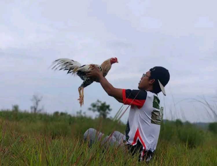 BERSAMA PELIHARAAN:  Benni Pratama bersama  salah satu ayam ekor lidi  peliharaannya.