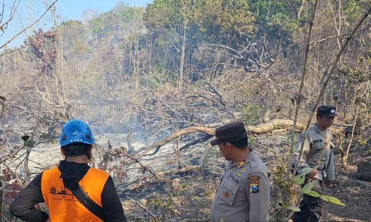 DIPADAMKAN: Personel gabungan memadamkan api di 10c RPH Kabuaran, BKPH Kabuaran, KPH Probolinggo.