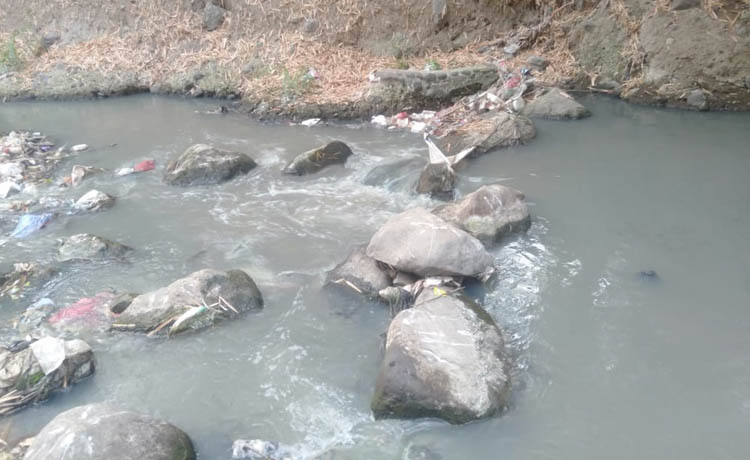 BIKIN GUNDAH: Air di Kali Wangi di Dusun Tudan, Desa Kemirisewu, Kecamatan Pandaan yang keruh dan memutih. Foto ini diambil Selasa (24/10) pukul 06.00.