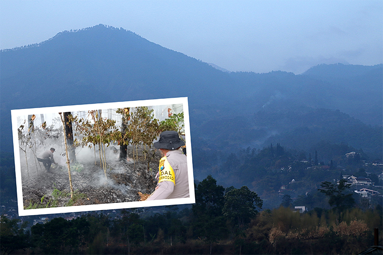 MASIH RAWAN TERBAKAR: Kawasan Gunung Ringgit saat dipotret dari Prigen, kemarin. Usai kawasan Gunung Ringgit terbakar, Rabu (26/10) giliran lahan Perhutani di Tambaksari, Purwodadi, dilalap api (foto