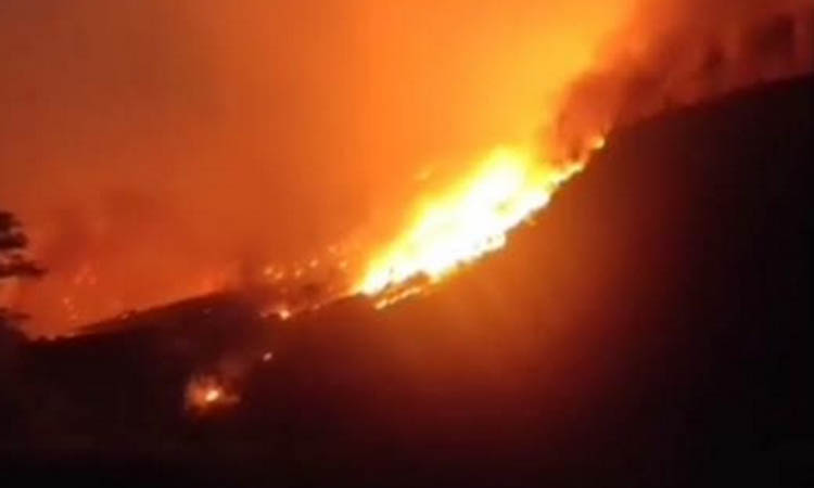 MEMBARA: Api yang membakar lahan di Aropuro.