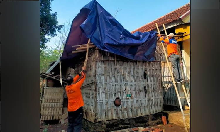 TERSAPU ANGIN : Personel BPBD Kabupaten Probolinggo, memasang terpal di salah satu rumah warga yang terdampak angin kencang, Jumat (3/11).
