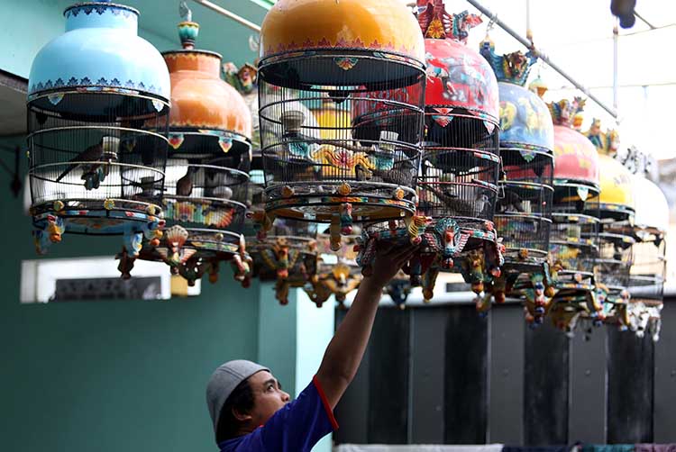 GANTANG: Dhanang Kurniawan, menggantang sejumlah burungnya. Warga Kecamatan Dringu, ini tercatat memiliki ratusan perkutut Bangkok. (Zainal Arifin/Jawa Pos Radar Bromo)