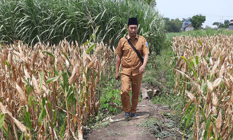 SEGERA DIBANGUN: Sekdes Banjarsari Asy&rsquo;ari melintas di tanah aset desa yang akan dijadikan jalan dan lahan parkir.