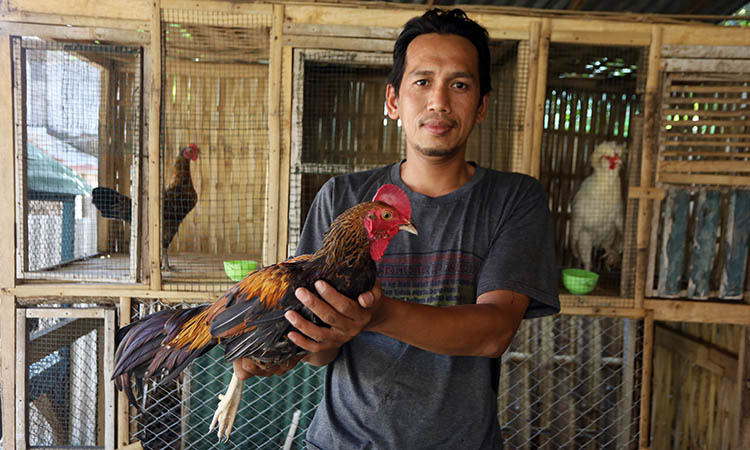 TELATEN: Agus Hidayat, bersama salah satu ayam bekisar pelirahaan berjenis gallus temminckii.