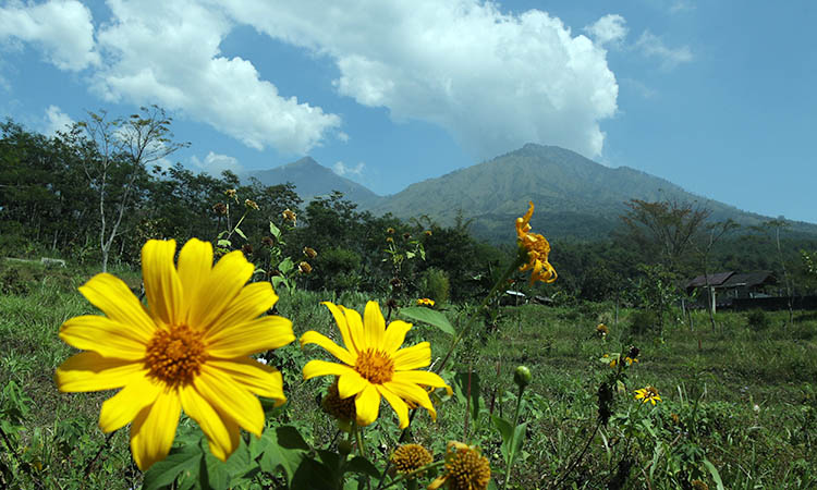 VIEW MENAWAN: Gunung Arjuno-Welirang saat dipotret dari Prigen, kemarin.