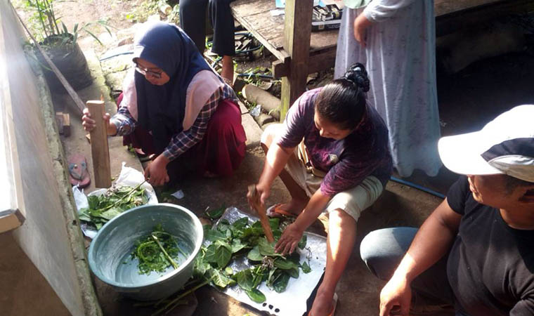 PELATIHAN: Kelompok KRPL Hidayah Desa Selobanteng, Kecamatan Banyuglugur, Kabupaten Situbondo, mengikuti pelatihan pestisida nabati.