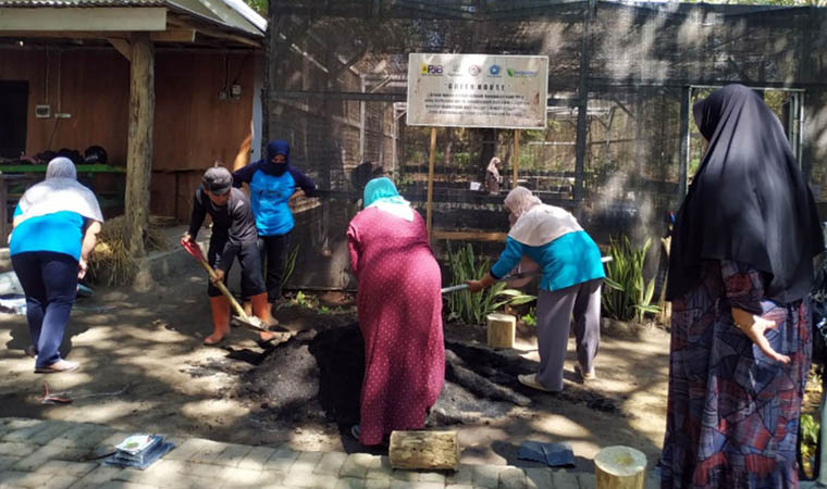 MEDIA TANAM: Pembuatan media tanam dari limbah baglog jamur dan pupuk kompos dari sampah daun oleh Kelompok Postaklim Desa Binor.