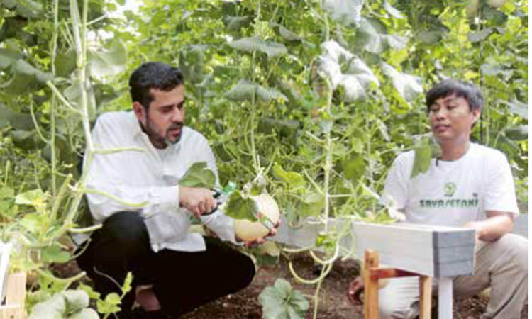 PETIK MELON: Wali Kota Habib Hadi bersama Agus Malik saat panen melon Sweet Net asal Thailand di green house farm milik Agus di Jalan Bengawan Solo Kota Probolinggo, Jumat (1/12/2023).
