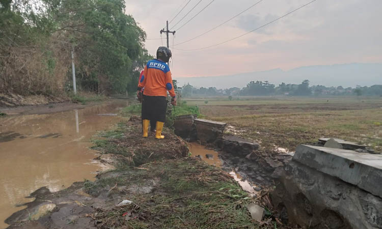 MELUAP: Petugas BPBD Kabupaten Probolinggo memeriksa kerusakan TPT disebabkan banjir dari Sungai Pesisir, Rabu (10/1).