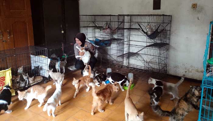 KAMAR KHUSUS: Kapolsek Leces AKP Rini Ifo Nila Krisna di kamar kucing, ruang khusus di rumahnya yang dia gunakan untuk memelihara puluhan kucing. (Arif Mashudi/ Radar Bromo)