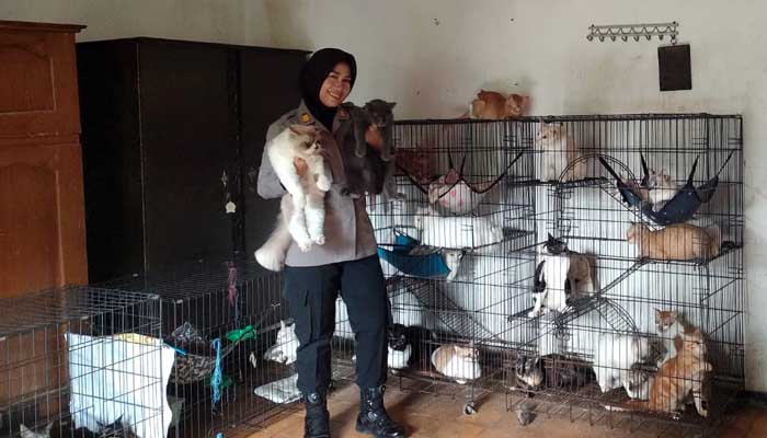 KAMAR KHUSUS: Kapolsek Leces AKP Rini Ifo Nila Krisna di kamar kucing, ruang khusus di rumahnya yang dia gunakan untuk memelihara puluhan kucing.
