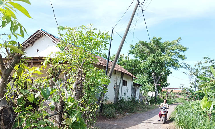 MIRING: Seorang warga melintas di sekitar tiang listrik PLN yang miring di Dusun Bataan, Desa Kertosono, Kecamatan Gading.