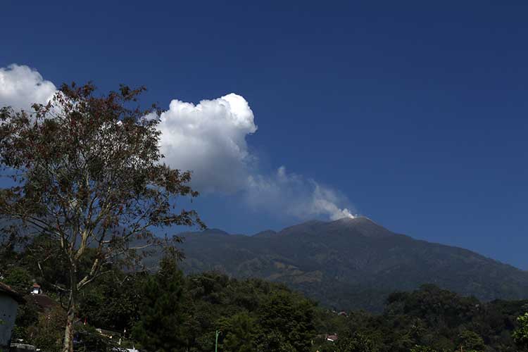 DITUTUP: Hujan dengan curah yang tinggi saat ini, membuat jalur pendakian Gunung Arjuno dan Welirang belum bisa dibuka.