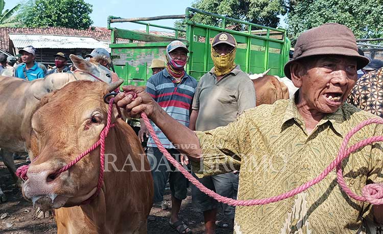 SIAP DIJUAL: Sejumlah pedagang membawa ternaknya ke Pasar Hewan Besuk, Kabupaten Probolinggo. Kini, banyak pedagang dan peternak resah dengan munculnya penyakit