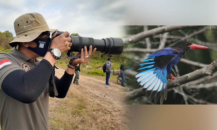 TANGKAP GAMBAR: Hafid memotret binatang liar, berhasil mengabadikan beberapa binatang langka. Salah satunya burung cikakak yang langka ini.