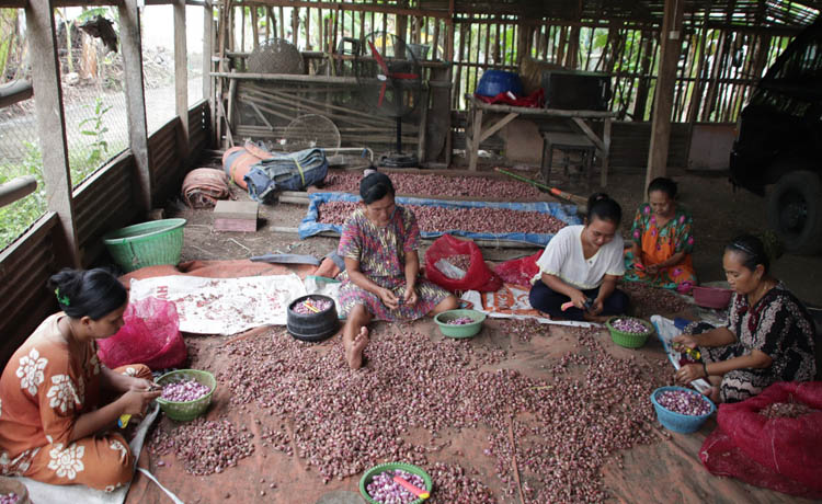 UMKM: Beberapa perempuan mengupas bawang merah untuk bahan baku usaha bawang goreng di Dusun Mudinan II.