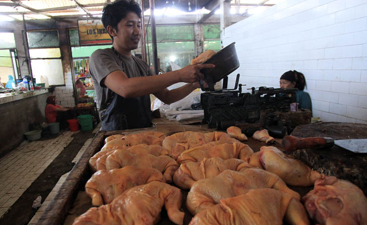 NAIK LAGI: Pedagang daging ayam di Pasar Kebonagung di lapaknya.