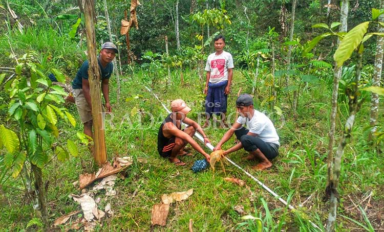 PENUHI KEBUTUHAN: Sejumlah pekerja memasang pipa untuk air bersih di Dusun Togur, Desa Tlogoargo.