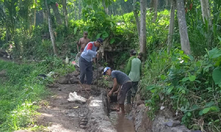 PENGUATAN PANGAN: Sejumlah pekerja membangun irigasi di RT 12/RW 3, Dusun Racek Timur, Desa Racek. Proyek ini sudah rampung dan difungsikan.&nbsp;
