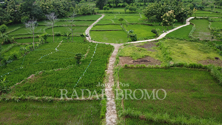 LEBIH BAIK: Salah satu jalan usaha tani di Desa Jatisari, semakin nyaman dilintasi setelah dibangun pada 2023.