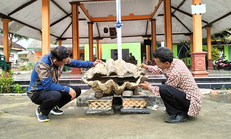 MASIH ASLI: Kades Sumberkerang Beny Rechardo (batik biru) dan Bendahara Desa Abu Saheh, mengecek fosil kerang di Balai Desa. Batu ini menjadi salah satu cikal bakal penamaan Desa Sumberkerang.