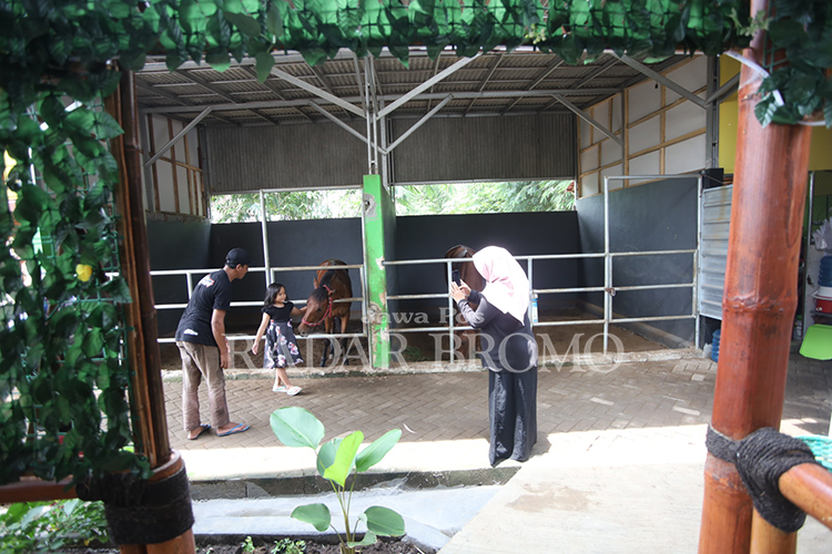 JINAK: Sejumlah pengunjung menengok kuda-kuda di salah satu kafe unik di Jalan Mastrip, Kelurahan/Kecamatan Kedopok, Kota Probolinggo.