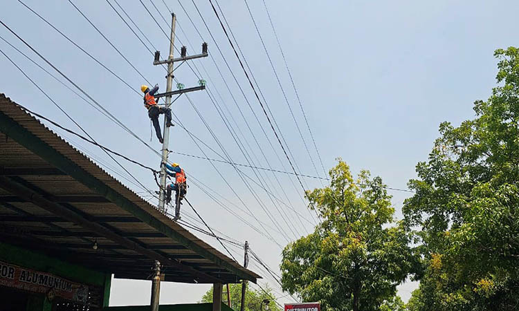 NAIK: Pekerjaan pembangunan jaringan baru di jalan Slagah, Kota Pasuruan. Tampak petugas PLN sedang naik tiang utilitas untuk proses pemasangan jaringan baru.&nbsp;