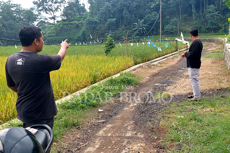 SEGERA DIGARAP: Kepala Desa Wringinanom Marwono bersama Operator Desa Cici Haryanto menunjukkan jalan desa di Dusun Leduk yang akan dirabat tahun ini.