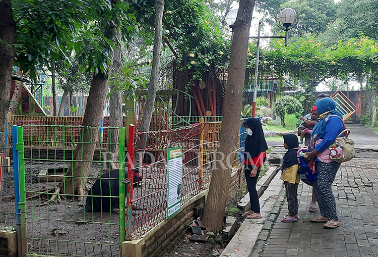SUMBER PAD: Sejumlah pengunjung memperhatikan salah satu satwa koleksi TWSL Kota Probolinggo.