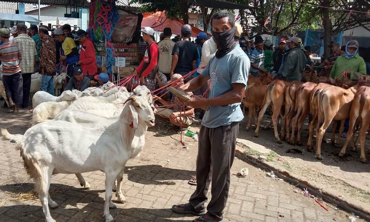 CARI REZEKI: Aktivitas di salah satu pasar hewan di Kabupaten Probolinggo. Saat ini aktivitas di pasar hewan masih normal meski geliatnya menurun lantaran ada wabah.
