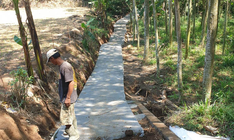 MULUS: Untuk mendukung program ketahanan pangan, pemdes juga membangun jalan rabat sebagai jalan usaha tani di Dusun Krasak tahun 2023lalu.&nbsp;