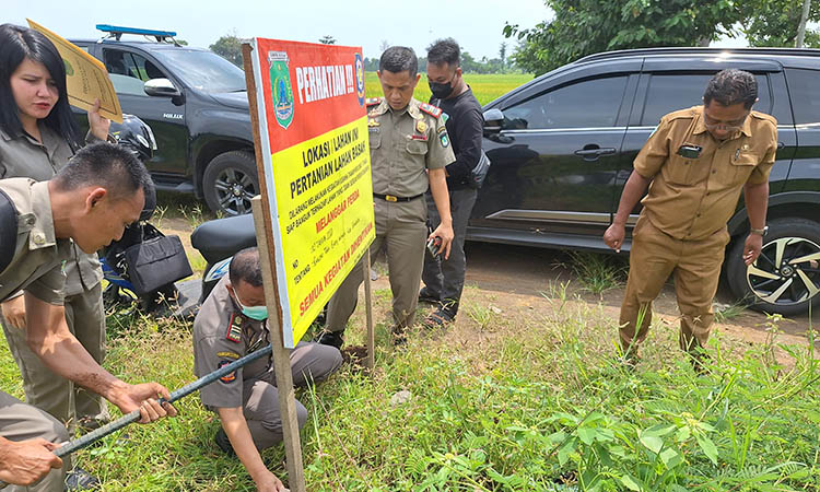 DIPLANG: Petugas Satpol PP Kabupaten Pasuruan saat melakukan penyegelan lahan kavling yang berada di Desa Kanigoro, Kecamatan Rembang, lantaran ditengarai tidak memiliki perizinan yang lengkap.