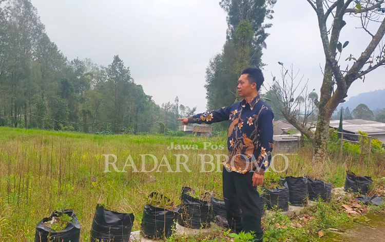 SUDAH DISIAPKAN: Lahan aset desa, akan dibangun wisata desa Camping Ground. Dengan dilengkapi wisata edukasi ternak sapi dan budidaya lele.