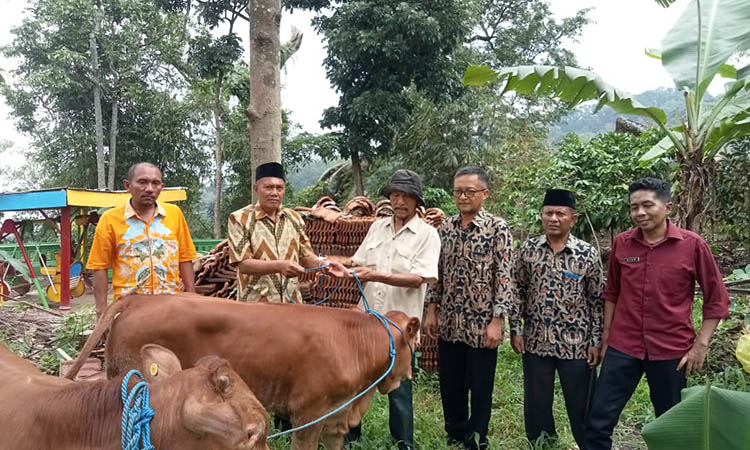 BUDI DAYA: Ketahanan pangan menjadi program untuk meningkatkan ekonomi masyarakat. Pemdes Sukapura adakan pengadaan ternak sapi.