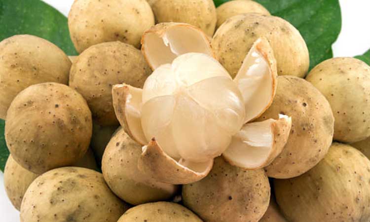 Buah duku. (istimewa)