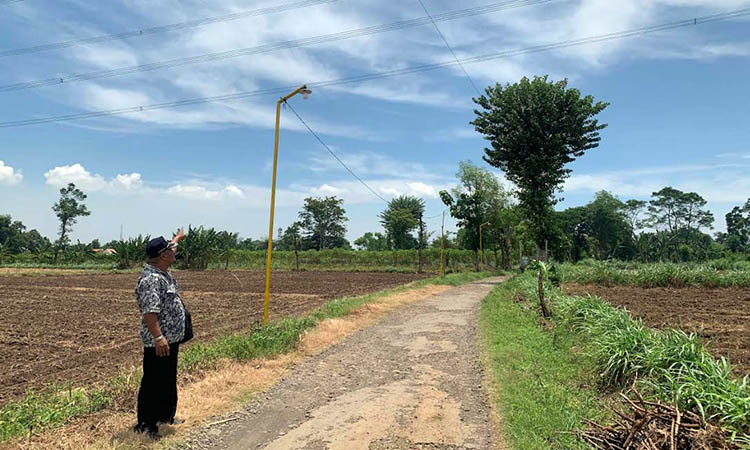 BARU: Salah satu titik penerangan jalan yang baru terpasang pada 2024 di dekat area persawahan Desa Kramat Agung, Kecamatan Bantaran, Kabupaten Probolinggo.