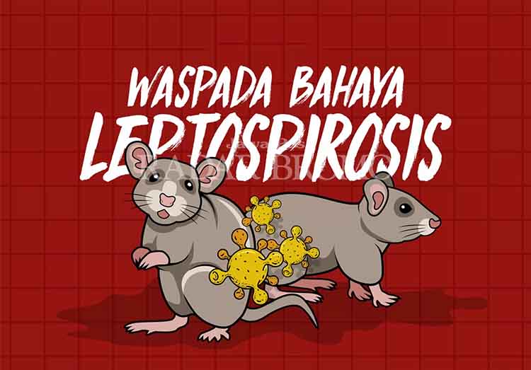 Ilustasi Leptospirosis